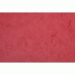 CARTE EUROPA PAQUET 50F A4 256G - ROUGE - LOT DE 100