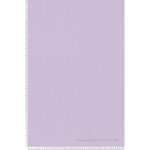 PAPIER PEINT 379878 BRICOFLOR LILA,