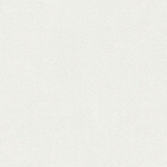 BRICOFLOR PAPIER PEINT UNI PAPIER PEINT INTISSÉ GRIS - 10,05 X 0,53 M