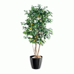 PLANTE ARTIFICIELLE D