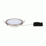 PANNEAU LED ENCASTRABLE - 230 V - IP44 - 8W - NICKEL - GRADABLE - AREO PAULMANN