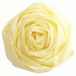 LOT DE 14 - PAPIER CRÉPON, JAUNE PAILLE