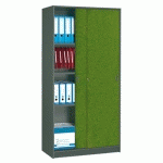 ARMOIRE HARMONIE H 180 X L 90 X P 44 CM CORPS ANTHRACITE PORTES COULISSANTES COULEUR KIWI