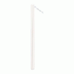 POTELET CARREFOUR Ø60 MM CHAINES 1 ANNEAU ZINC BLANC 9010 - PROCITY