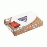 PAPIER A4 BLANC 90 G CLAIREFONTAINE DCP - RAMETTE DE 500 FEUILLES
