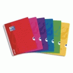 CAHIER OPEN FLEX SPIRALÉ 100 PAGES 24X32CM GRANDS CARREAUX SÉYÈS. COUVERTURE POLYPRO - LOT DE 2