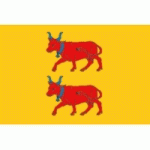 DRAPEAU BÉARN : DIMENSIONS - 50 X 75 CM