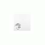 LOT DE 2 - PAQUET DE 25 CARTES SIMPLES POLLEN 135X135MM 210G/M² - BLANC IRISÉ
