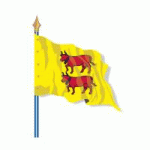 DRAPEAU DE PROVINCE HISTORIQUE BÉARN