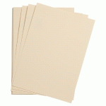 ETIVAL COLOR PAQUET 25F A3 160G - CITRONNELLE - LOT DE 2