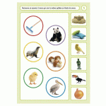 LOGICO PRIMO - SYLLABES MS - MANUTAN COLLECTIVITÉS