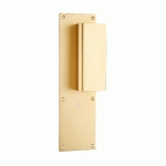 POIGNÉE PALIÈRE ALUMINIUM TYPE BASTILLE 70X250MM CHAMPAGNE BEC DE CANE - HERACLES - I-231102