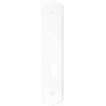 PLAQUE SIMPLE CLÉ I - MERIGOUS - V010011100