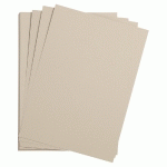 ETIVAL COLOR PAQUET 25F A3 160G - GRIS CLAIR - LOT DE 2