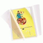 POCHETTES PERFORÉES OXFORD FARD CLIREL A4 À RABAT LATÉRAL PVC LISSE 18/100E - BOÎTE DE 10