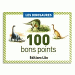 BON POINT ÉDITIONS LITO DINOSAURES TEXTE PÉDAGOGIQUE AU VERSO 61X82MM BOÎTE 100 UNITÉS - LOT DE 2