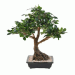 PLANTE ARTIFICIELLE D