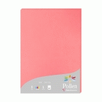 ETUI DE 25 FEUILLES POLLEN 210X297MM 210G/M2 - LITCHI - LOT DE 2