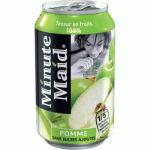 24 BOÎTES - MINUTE MAID - POMME 33 CL