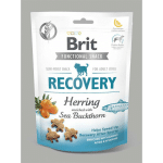 BRIT CARE DOG RECOVERY & HERRING - SNACK POUR CHIEN - 150 G