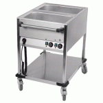 CHARIOT BAIN MARIE PROFESSIONNEL 2 CUVES GN 1/1