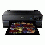 EPSON SURECOLOR SC-P800 - 17 IMPRIMANTE GRAND FORMAT - COULEUR - JET D'ENCRE - ROULEAU (43,2 CM) - 2 880 X 1 440 DPI - JUSQU'À 3 PPM (MONO) / JUSQU'À 3 PPM (COULEUR) - CAPACITÉ : 120 FEUILLES - USB 2.0, LAN, WI-FI(N)