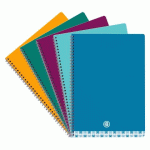 LOT DE 5 - CAHIER SPIRALE STANDARD BRUNEAU 24 X 32 CM GRANDS CARREAUX 100 PAGES