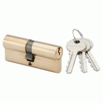 CYLINDRE EUROPÉEN DOUBLE ENTRÉE 35X65MM LAITON SUR PTT ET EDF - RONIS - 120751