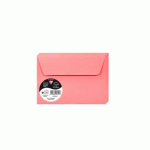 LOT DE 2 - PAQUET DE 20 ENVELOPPES POLLEN 114X162MM 120G/M2 - LITCHI