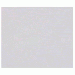 TULIPE RAME 50F 50X65CM 160G - GRIS SOURIS