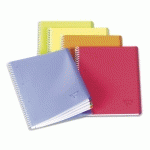 CAHIER RELIURE INTÉGRALE LINICOLOR FRESH 24X32CM 160 PAGES PETITS CARREAUX 4 COULEURS DE BANDE COUVERTURE PLASTIQUE POLYPROPYÈNE RAINURÉ COULEUR ALÉATOIRE - ASSORTIS - LOT DE 5