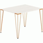 TABLE RÉUNION LORI 100 X 70 CM PLATEAU PIN PIED TERRACOTTA - MBA