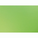 PAPIER COULEUR RECYLÉ, PAQUET DE 25 FEUILLES 120G/M2 SOUS/FILM AU FORMAT 50X65CM - VERT POMME