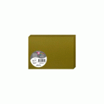 LOT DE 2 - PAQUET DE 25 CARTES PLIÉES POLLEN 110X155MM 210G/M2 - ALGUE