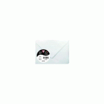LOT DE 2 - PAQUET DE 20 ENVELOPPES POLLEN 75X100MM 120G/M² - BLEU