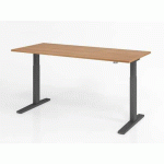 BUREAU ASSIS-DEBOUT SÉRIE XMKA-180X80CM-NOYER-GRAPHITE - HAMMERBACHER