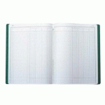 REGISTRE COMPTABLE LE DAUPHIN PIQÛRE 80 PAGES - FORMAT 19,5 X 30 CM A LA FRANCAISE - 3 COLONNES