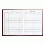 REGISTRE IMPRIME COURRIER ARRIVÉE LE DAUPHIN 41145, 24 X 32 CM - 160 PAGES