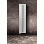 RADIATEUR ÉLECTRIQUE À FLUIDE CALOPORTEUR VERTICAL 1000W TAMARI - FINIMETAL 3634007
