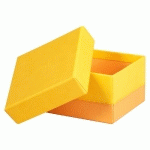 RHODIARAMA SET 5 BOÎTES GIGOGNES SIMILI CUIR ITALIEN 44X34X16 CM - JONQUILLE