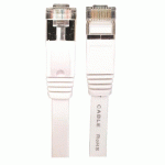 CORDON PATCH CAT.6A FTP PLAT - LONGUEUR 40 CM EVICOM