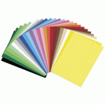 LOT DE 2 - CARTON DE BRICOLAGE, (L)350 X (H)500 MM, 300 G/M2