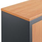 TOP DE FINITION POUR ARMOIRE À RIDEAUX CONFORT L. 120 CM - HÊTRE