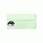 LOT DE 2 - PAQUET DE 20 ENVELOPPES POLLEN 110X220MM 120G/M2 - VERT