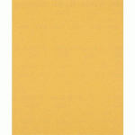 BOSCH 50 FEUILLE ABRASIVE BOIS ET PEINTURE C470 EXPERT 230X280MM - BOSCH