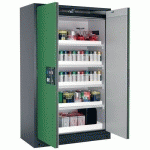 ARMOIRE SÉCURITÉ Q-PEGASUS-90 Q90.195.120.WDAC GRIS/VERT - ASECOS