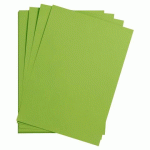 MAYA RAME 125F 50X70CM 270G - VERT MOUSSE