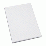 LOT DE 10 - BLOC DE BUREAU BUDGET 21 X 29,7 CM AGRAFÉ SANS COUVERTURE - 5 X 5 - 100 FEUILLES