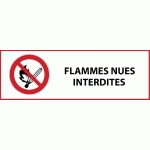 PANNEAU D'INTERDICTION ISO EN 7010 - FLAMMES NUES INTERDITES - P003  - 297 X 105 MM - PVC