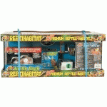 KIT TORTUES AQUATIQUES NT-T22E